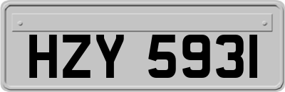 HZY5931