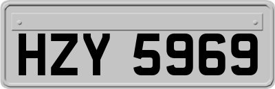 HZY5969
