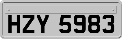 HZY5983