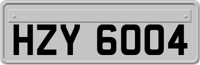 HZY6004