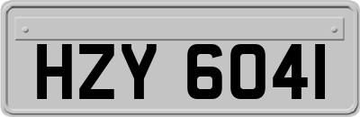 HZY6041