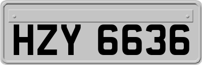 HZY6636