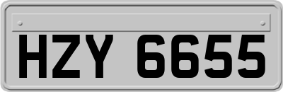 HZY6655