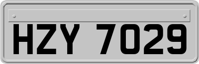HZY7029
