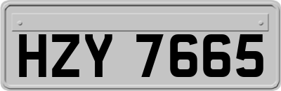 HZY7665