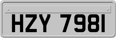 HZY7981