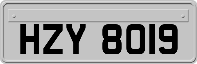 HZY8019