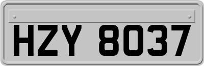 HZY8037