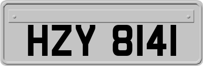 HZY8141