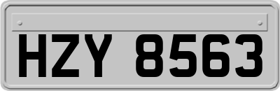 HZY8563