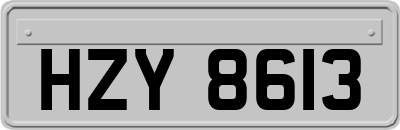 HZY8613
