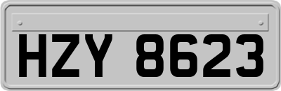 HZY8623