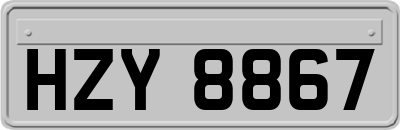 HZY8867