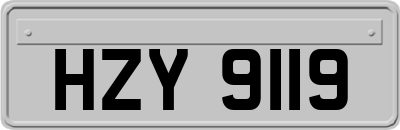 HZY9119
