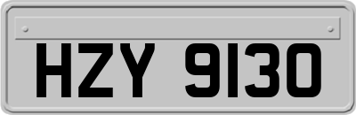 HZY9130
