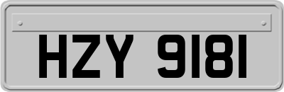 HZY9181