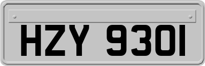 HZY9301