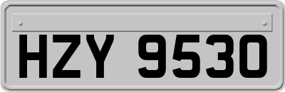 HZY9530