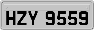 HZY9559