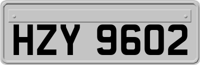 HZY9602