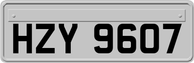 HZY9607