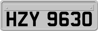 HZY9630