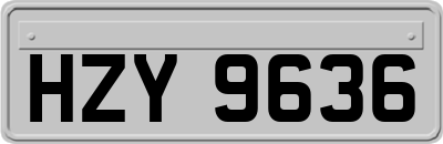 HZY9636