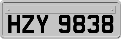 HZY9838