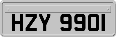 HZY9901