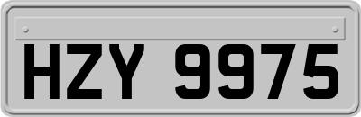 HZY9975