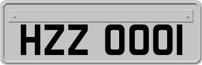 HZZ0001