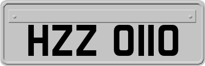 HZZ0110