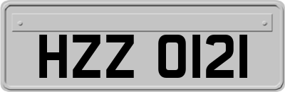 HZZ0121