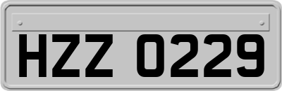 HZZ0229