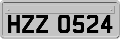 HZZ0524