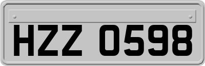 HZZ0598