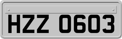 HZZ0603