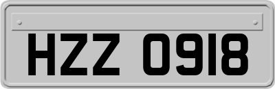 HZZ0918