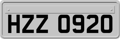 HZZ0920