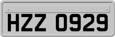 HZZ0929