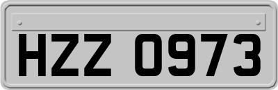 HZZ0973