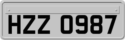 HZZ0987