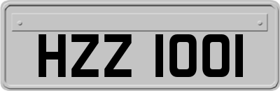 HZZ1001