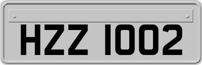 HZZ1002