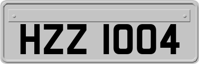 HZZ1004