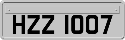HZZ1007
