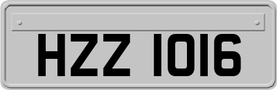 HZZ1016