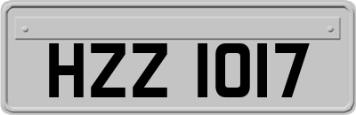 HZZ1017