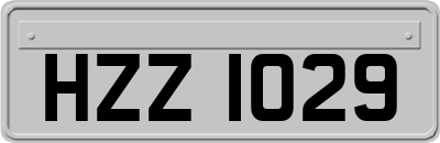 HZZ1029