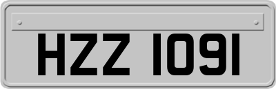 HZZ1091